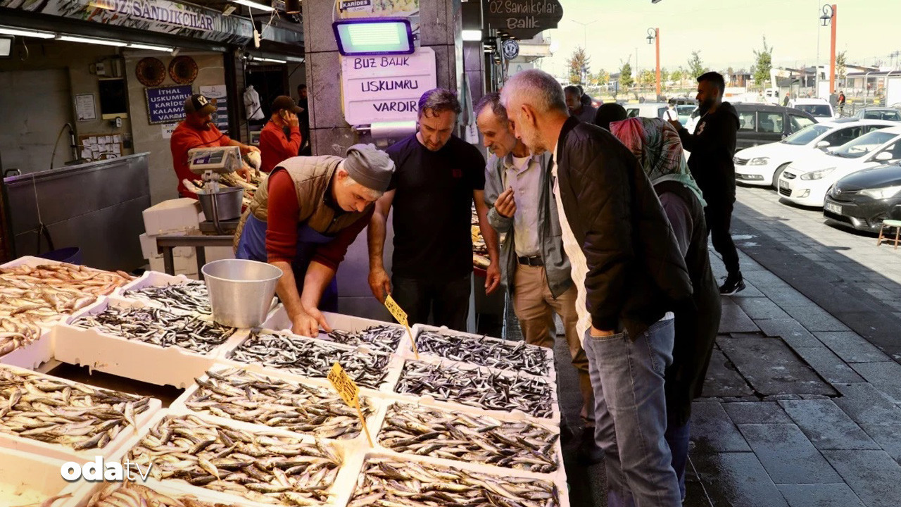 hamside fiyatlar havaya gore xNH3Pw1j