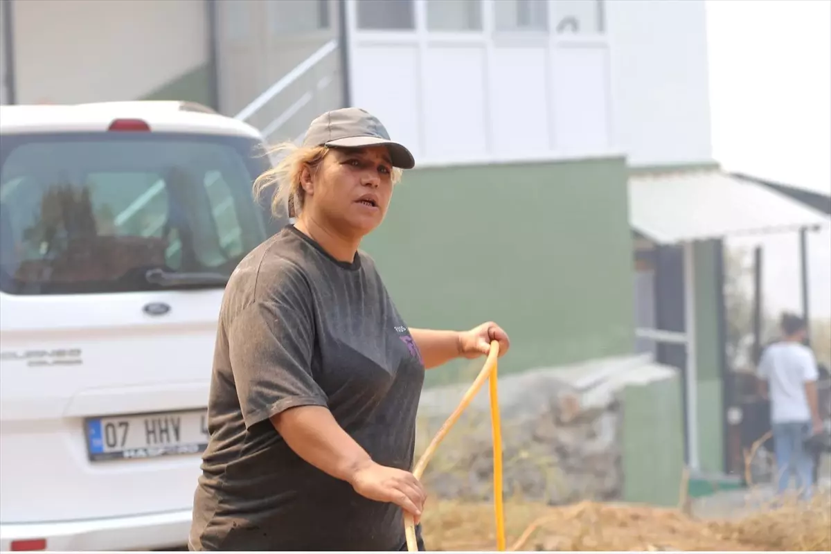 malatyali cift alanya yanginina karsi mucadele ediyor pcwwuQhq