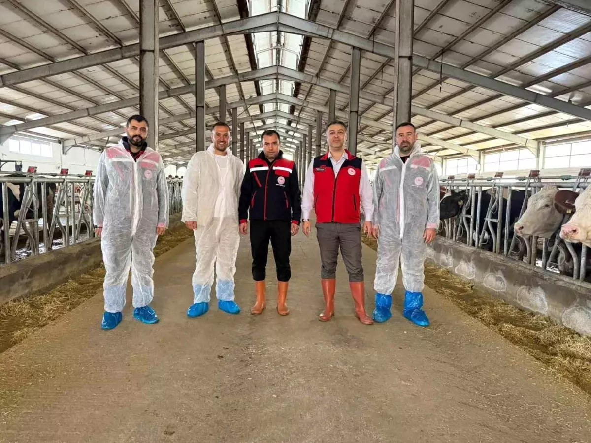 afyonkarahisarda yeni hastaliktan ari isletme sertifikasi S82uez8j.jpg