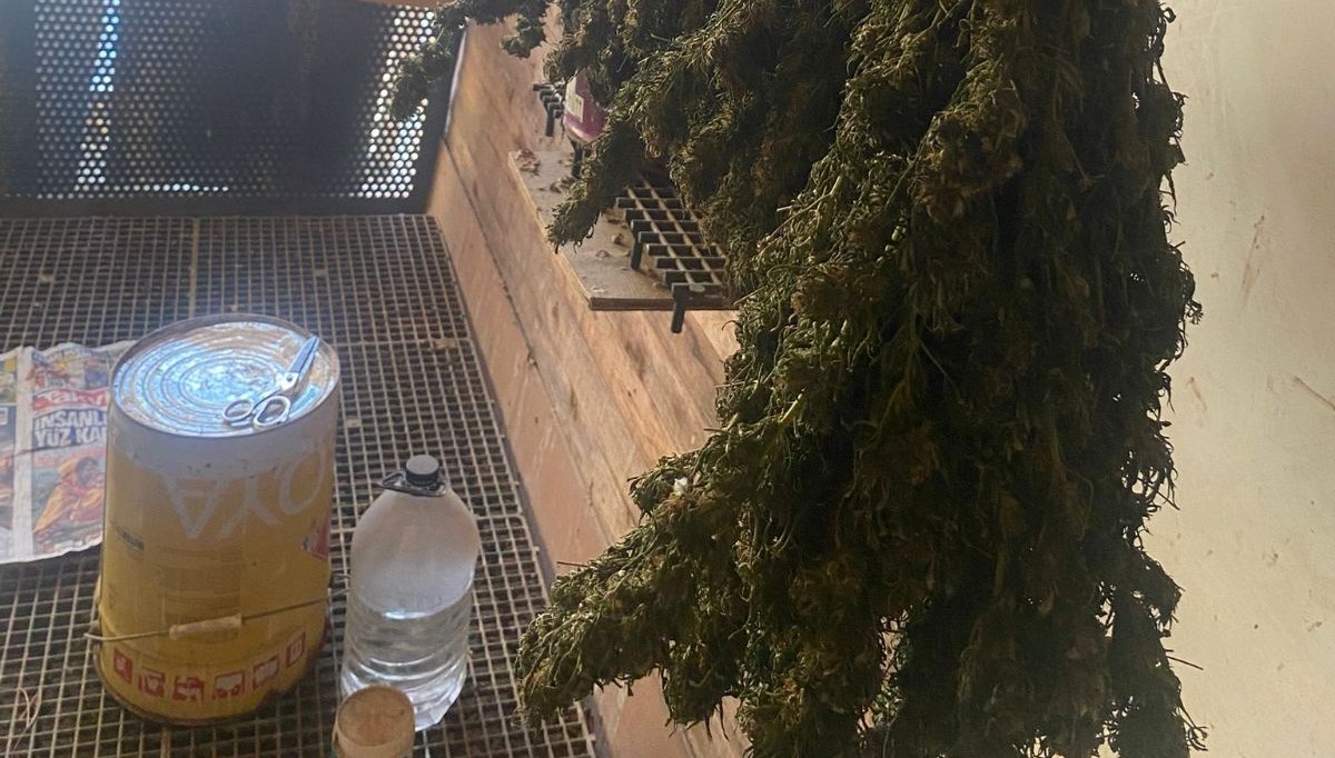 bursada guvercin kumesine gizlenmis uyusturucubulundu sWZKO1wi