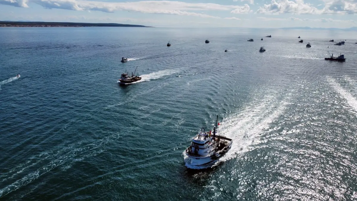 enezde sumud filosuna destek gosterisi 4QmDFxtQ