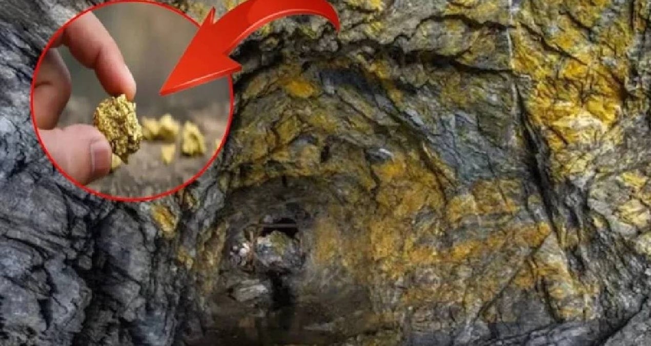 dunyanin en derin 10 altin madeni yerin altina iniyorlar kulce kulce altin cikariyorlar idllgqPl.jpg