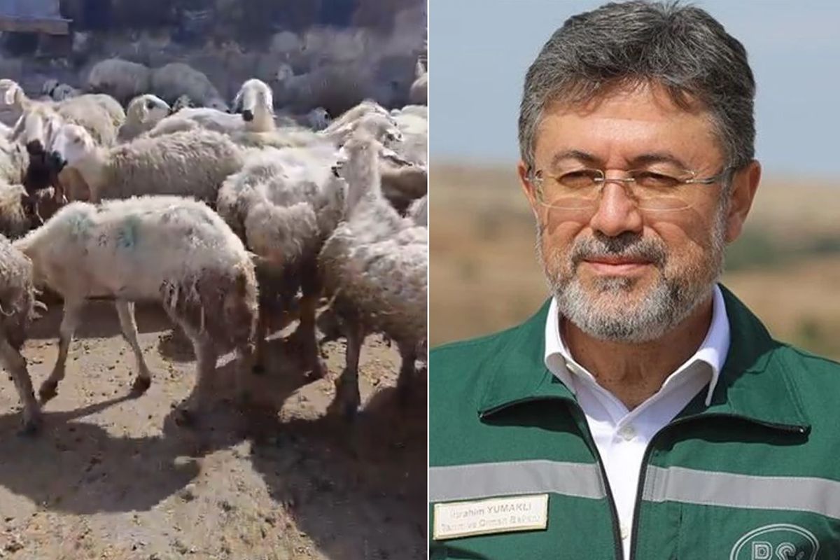 Tarım ve Orman Bakanlığı’ndan Ani Köyü’ndeki Mera Kullanımına İlişkin Açıklama