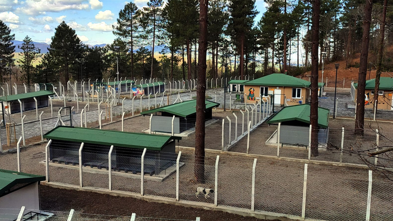 Ünye’de Modern Barınak ve Doğal Yaşam Alanı Projesi Tamamlanmak Üzere