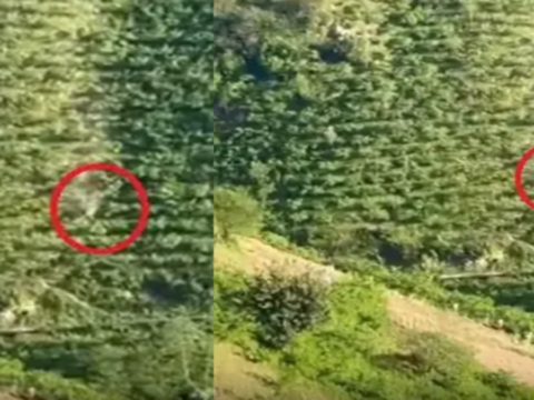 Giresun’da Kamyonetin 400 Metrelik Takla Atışı Korkuttu! Anlar Kamera ile Kaydedildi