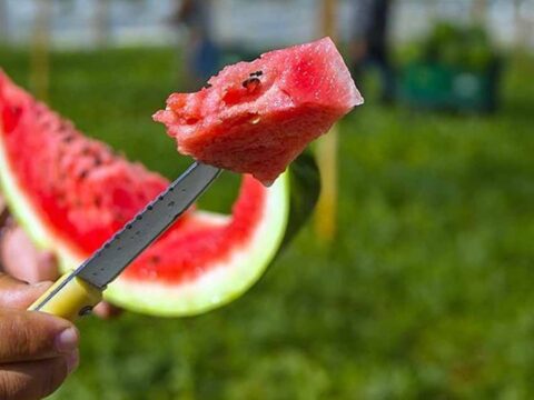 Karpuzun Sağlığa Faydaları Bilimsel Olarak Kanıtlandı