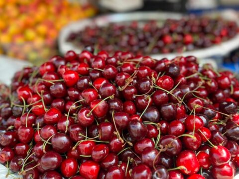 Kiraz ihracatinda tarihi sicrama gelir 100 milyon dolari asti 5WP87ay1